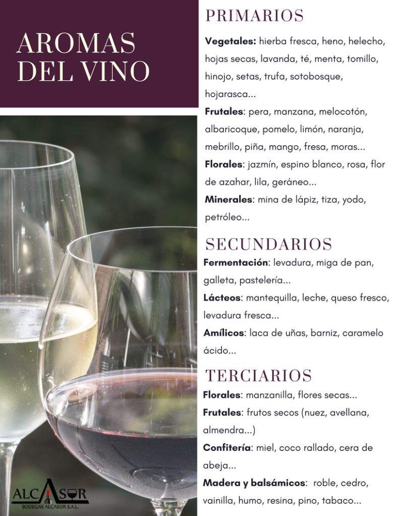 Cata de vino: aromas